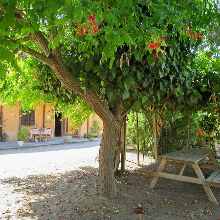 Locazione Turistica Le Selvacce - Giu150 Nyaraló Castellaccia
