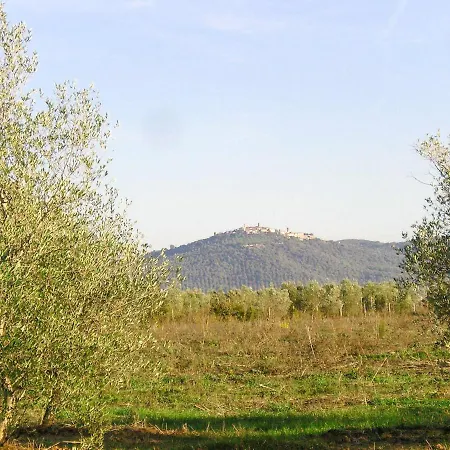 Locazione Turistica Le Selvacce - Giu150 Castellaccia